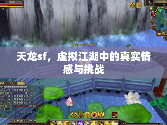 天龙sf，虚拟江湖中的真实情感与挑战
