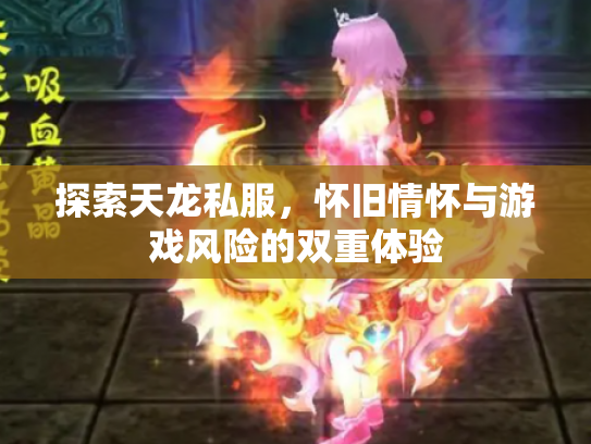 探索天龙私服，怀旧情怀与游戏风险的双重体验