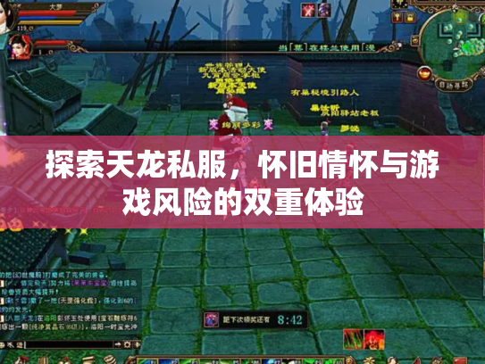 探索天龙私服，怀旧情怀与游戏风险的双重体验