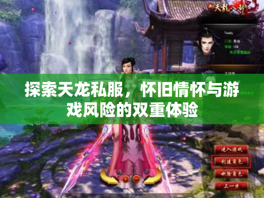探索天龙私服，怀旧情怀与游戏风险的双重体验