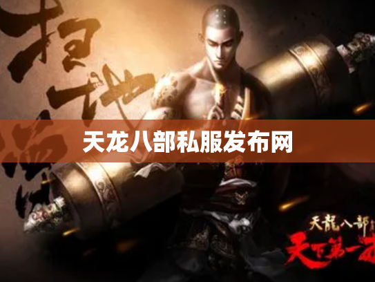 天龙八部私服发布网