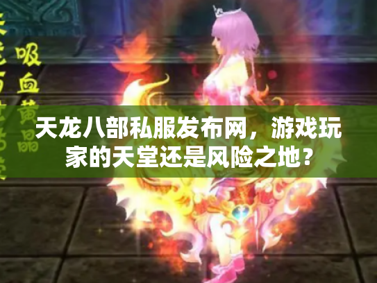 天龙八部私服发布网，游戏玩家的天堂还是风险之地？