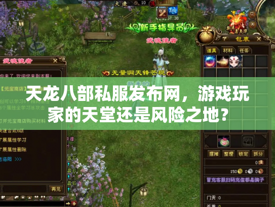 天龙八部私服发布网，游戏玩家的天堂还是风险之地？