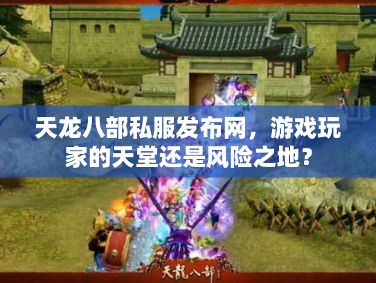 天龙八部私服发布网，游戏玩家的天堂还是风险之地？