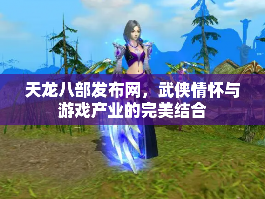 天龙八部发布网，武侠情怀与游戏产业的完美结合