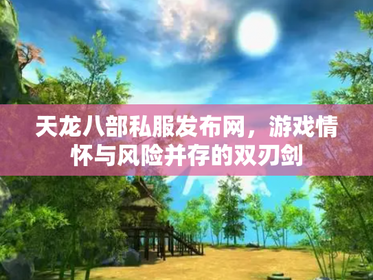 天龙八部私服发布网，游戏情怀与风险并存的双刃剑