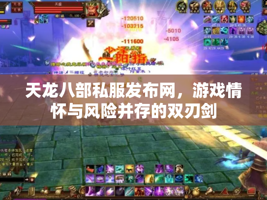 天龙八部私服发布网，游戏情怀与风险并存的双刃剑