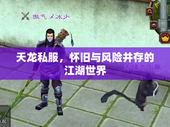 天龙私服，怀旧与风险并存的江湖世界