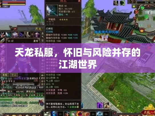 天龙私服，怀旧与风险并存的江湖世界