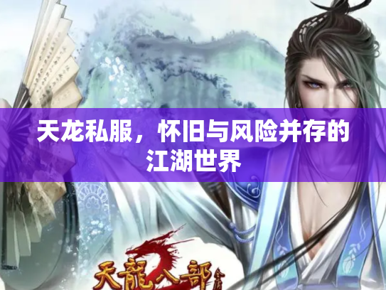 天龙私服，怀旧与风险并存的江湖世界