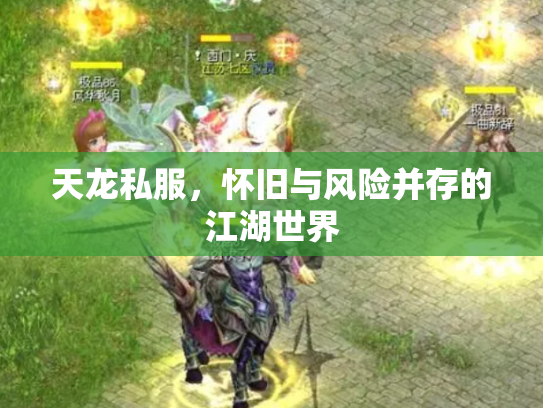 天龙私服，怀旧与风险并存的江湖世界