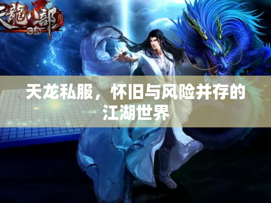 天龙私服，怀旧与风险并存的江湖世界