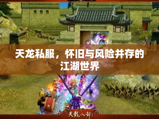 天龙私服，怀旧与风险并存的江湖世界