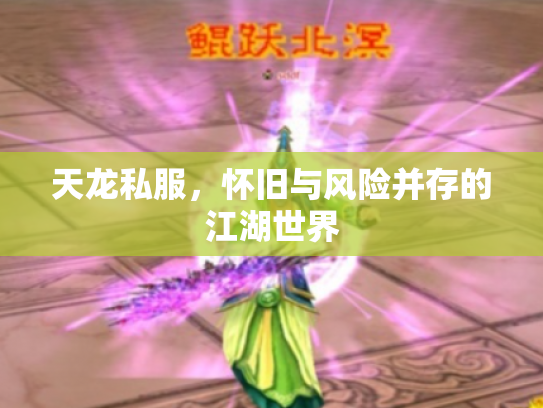 天龙私服，怀旧与风险并存的江湖世界