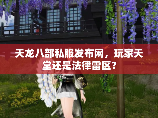 天龙八部私服发布网，玩家天堂还是法律雷区？