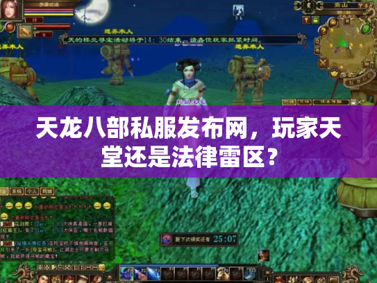 天龙八部私服发布网，玩家天堂还是法律雷区？
