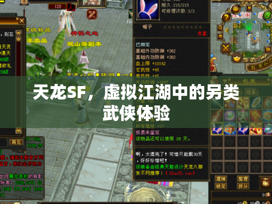 天龙SF，虚拟江湖中的另类武侠体验