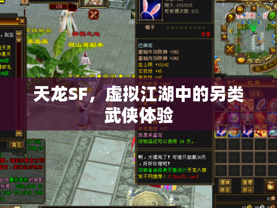 天龙SF，虚拟江湖中的另类武侠体验