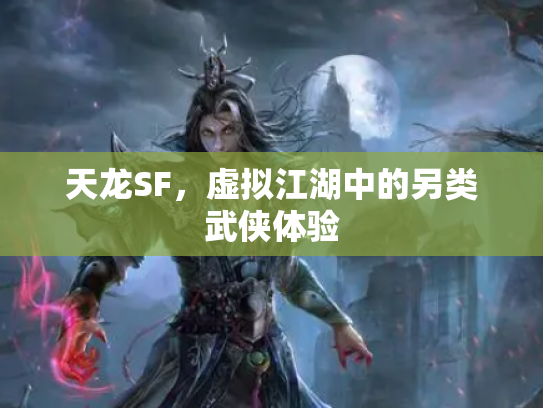 天龙SF，虚拟江湖中的另类武侠体验