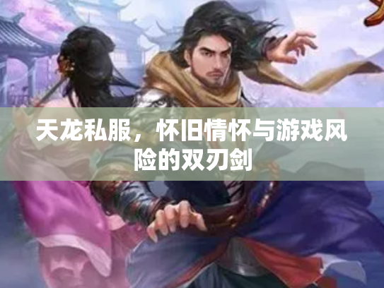 天龙私服，怀旧情怀与游戏风险的双刃剑
