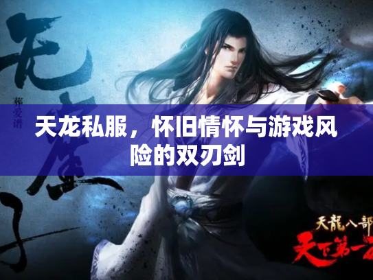 天龙私服，怀旧情怀与游戏风险的双刃剑