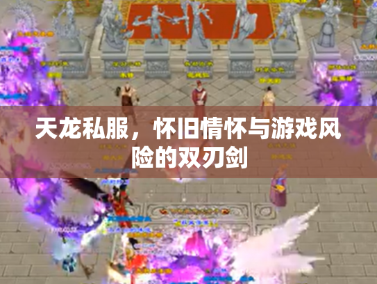 天龙私服，怀旧情怀与游戏风险的双刃剑