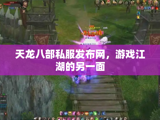 天龙八部私服发布网，游戏江湖的另一面