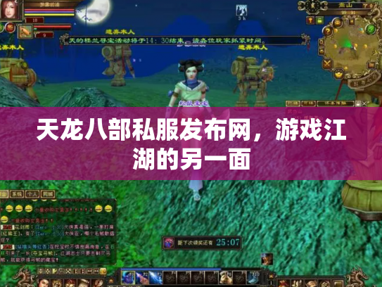 天龙八部私服发布网，游戏江湖的另一面