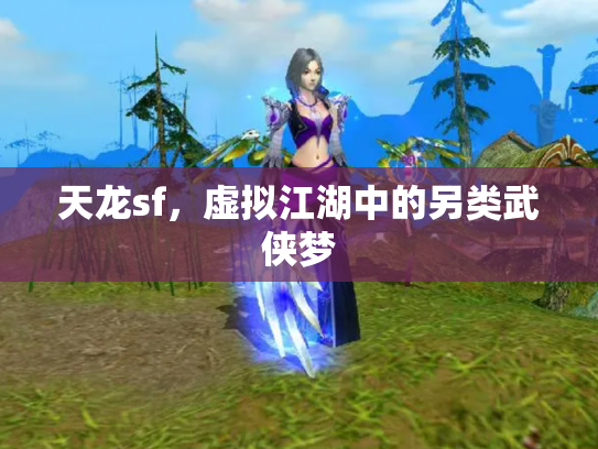 天龙sf，虚拟江湖中的另类武侠梦