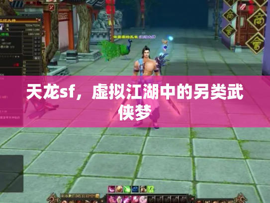 天龙sf，虚拟江湖中的另类武侠梦
