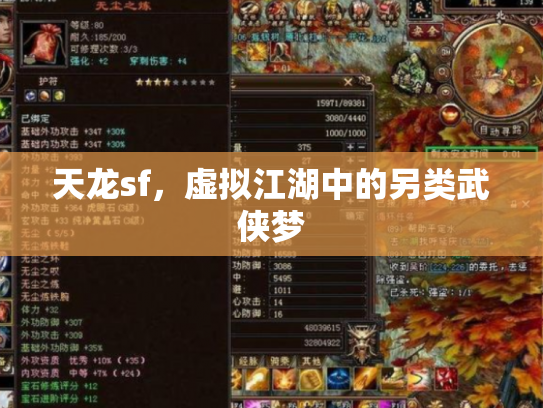 天龙sf，虚拟江湖中的另类武侠梦
