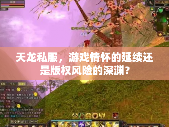 天龙私服，游戏情怀的延续还是版权风险的深渊？