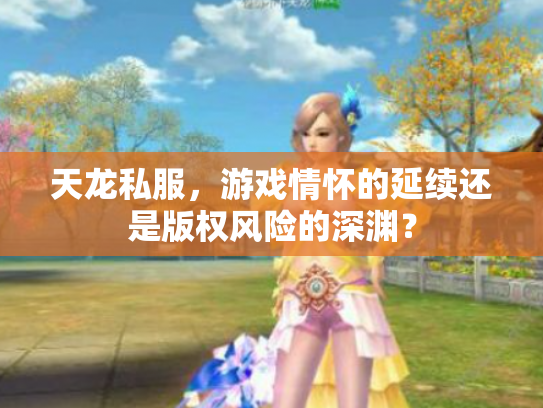 天龙私服，游戏情怀的延续还是版权风险的深渊？