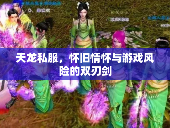 天龙私服，怀旧情怀与游戏风险的双刃剑