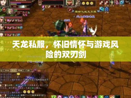 天龙私服，怀旧情怀与游戏风险的双刃剑