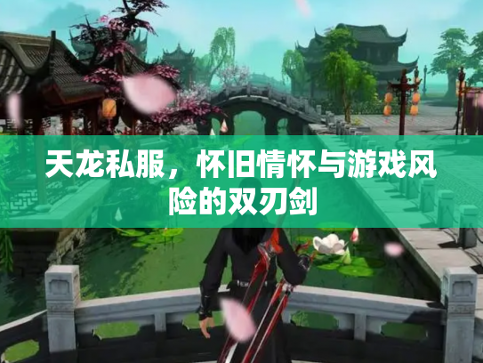 天龙私服，怀旧情怀与游戏风险的双刃剑