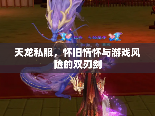 天龙私服，怀旧情怀与游戏风险的双刃剑