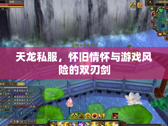 天龙私服，怀旧情怀与游戏风险的双刃剑