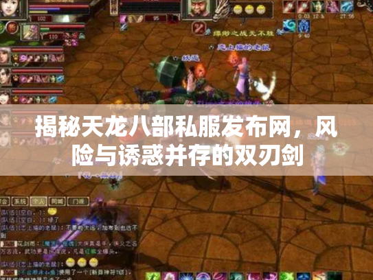 揭秘天龙八部私服发布网，风险与诱惑并存的双刃剑