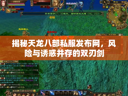 揭秘天龙八部私服发布网，风险与诱惑并存的双刃剑