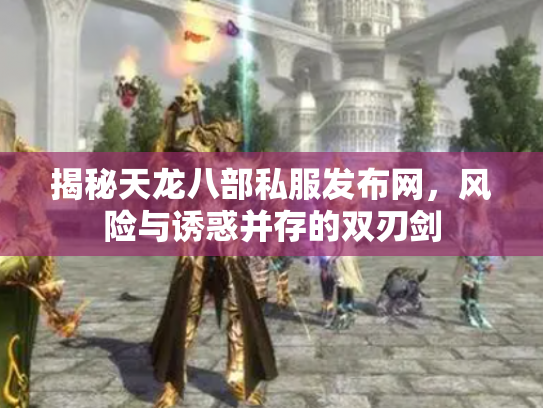 揭秘天龙八部私服发布网，风险与诱惑并存的双刃剑