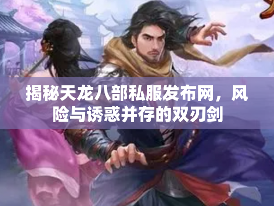 揭秘天龙八部私服发布网，风险与诱惑并存的双刃剑