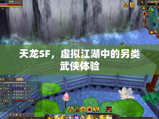 天龙SF，虚拟江湖中的另类武侠体验