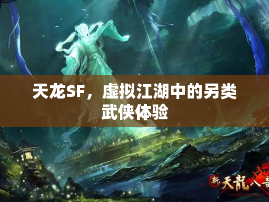 天龙SF，虚拟江湖中的另类武侠体验