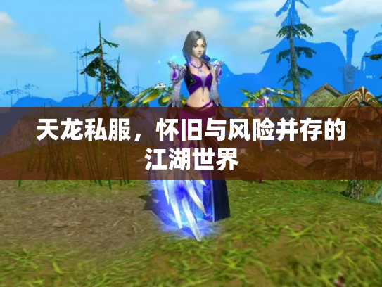 天龙私服，怀旧与风险并存的江湖世界