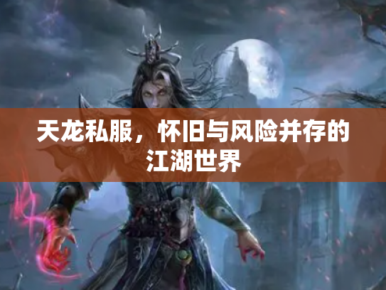 天龙私服，怀旧与风险并存的江湖世界