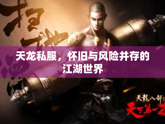 天龙私服，怀旧与风险并存的江湖世界