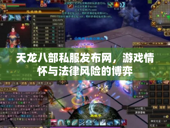 天龙八部私服发布网，游戏情怀与法律风险的博弈