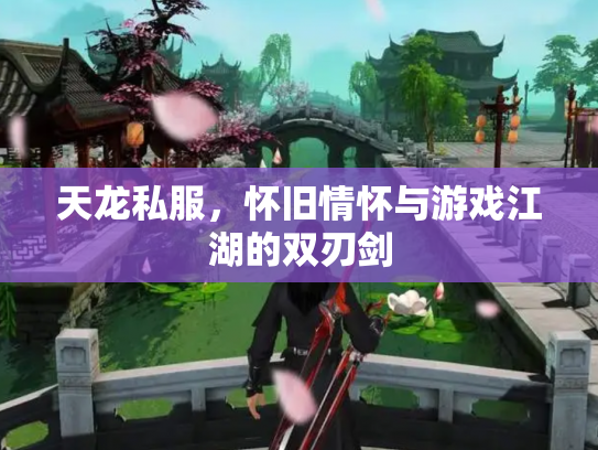 天龙私服，怀旧情怀与游戏江湖的双刃剑