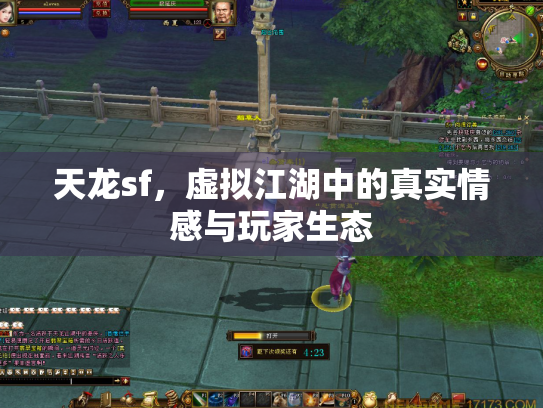 天龙sf，虚拟江湖中的真实情感与玩家生态